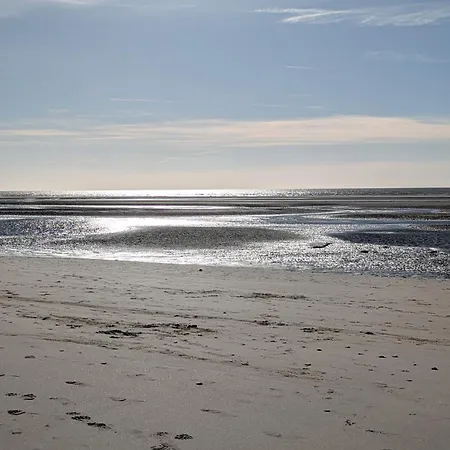 L'evasion Marine * Camiers